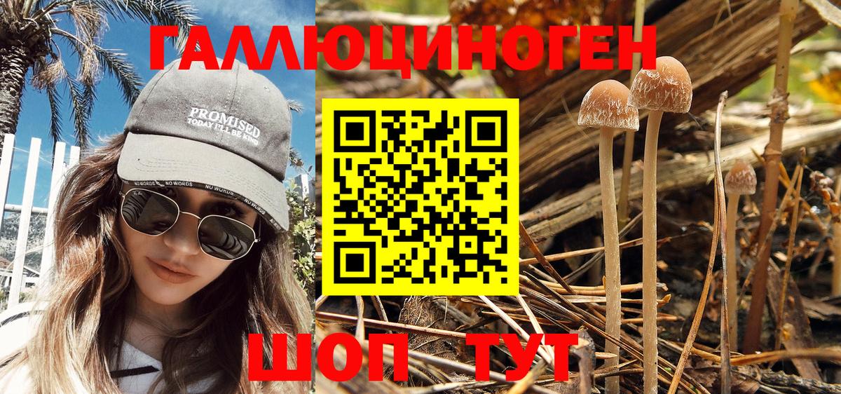Воронеж  Псилоцибиновые грибы MAGIC MUSHROOMS  купить закладку  Вход с VPN 