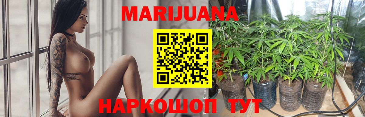 Конопля LSD WEED  Воронеж  Бошки Шишки семена  Канабис конопля  Конопля SATIVA & INDICA 